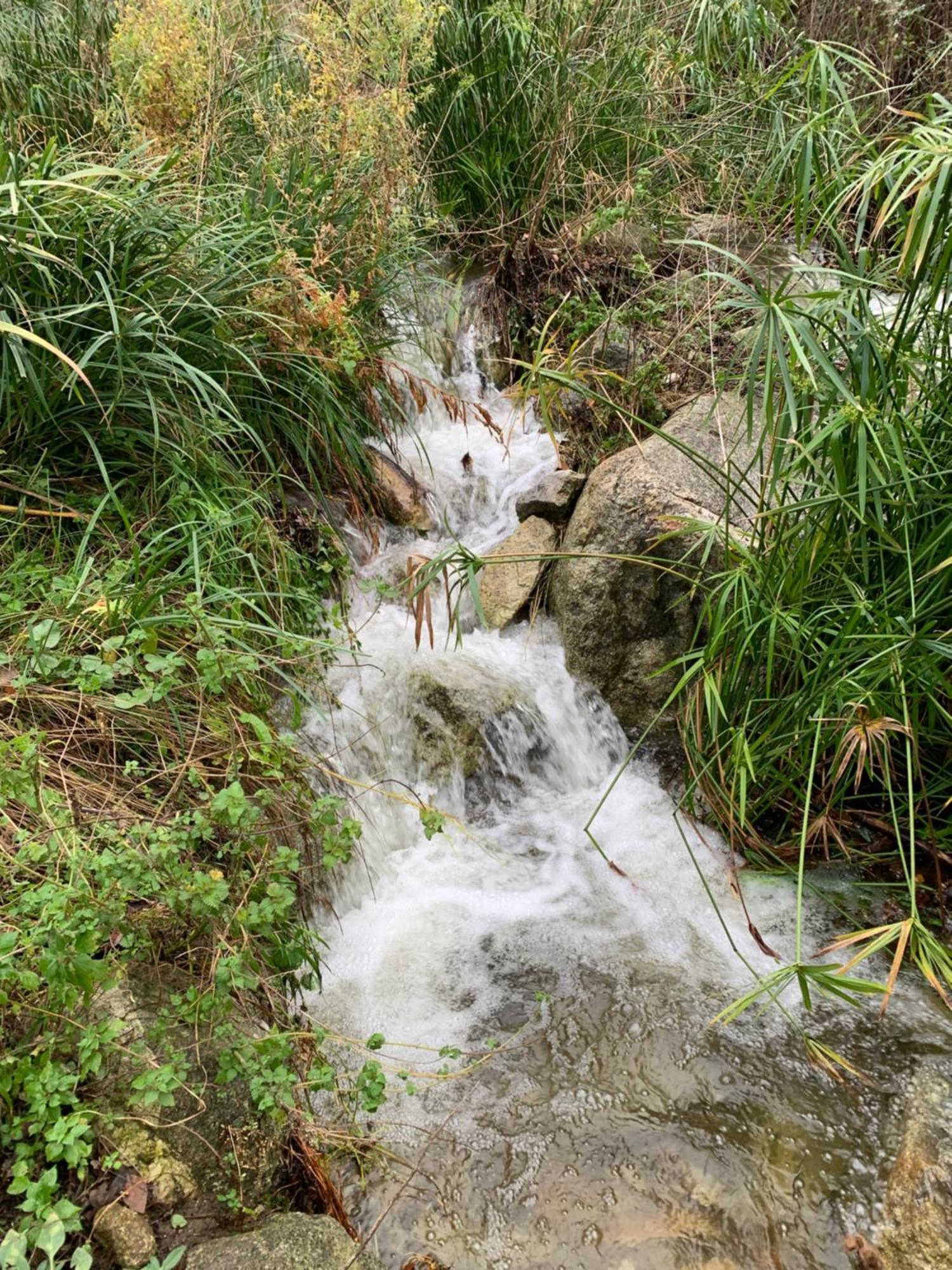 Caselena , Un Havre De Paix En Balagne Ville-di-Paraso Exterior photo